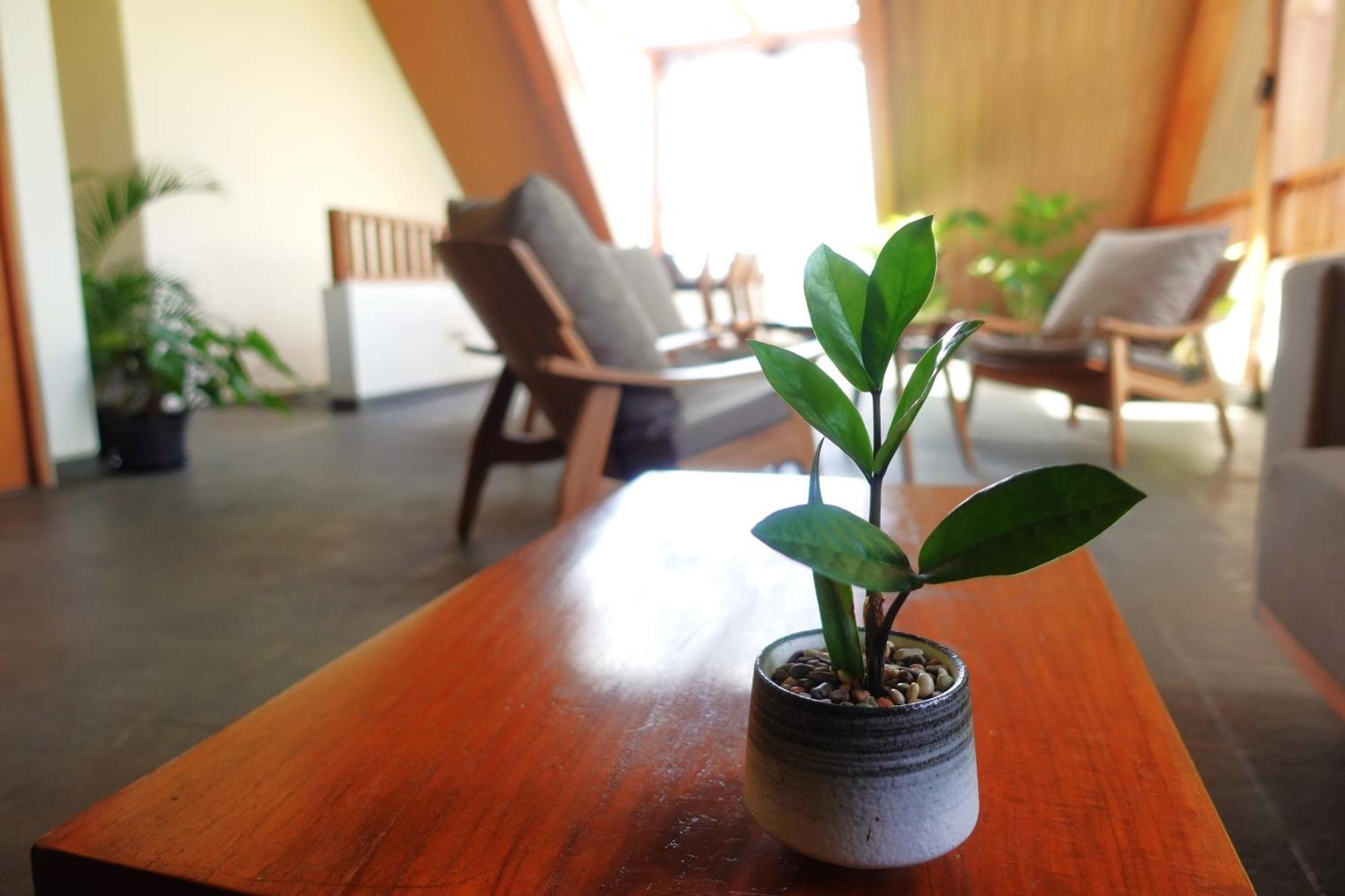 אובוד The Vinaya Boutique Hotel מראה חיצוני תמונה